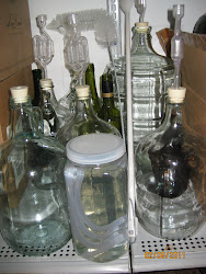 A Collection of Glass Containers