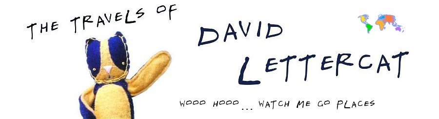 DAVID LETTERCAT