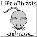 My Life With Rats and More