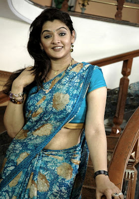 Aarthi Agarwal Video Sex - South Actress Aarti Agarwal Sexy In Saree | Bollymira