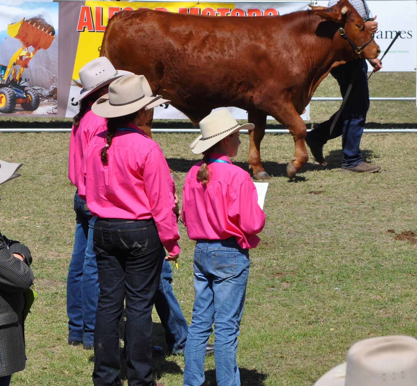 BTC Blog: Cattle Club Representation at Charters Towers Show