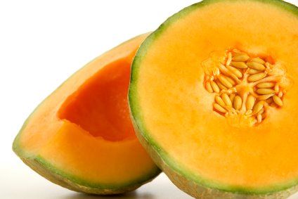 [cantaloupe+melon.jpg]