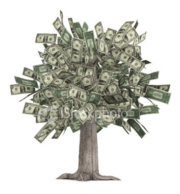 [moneytree.jpg]
