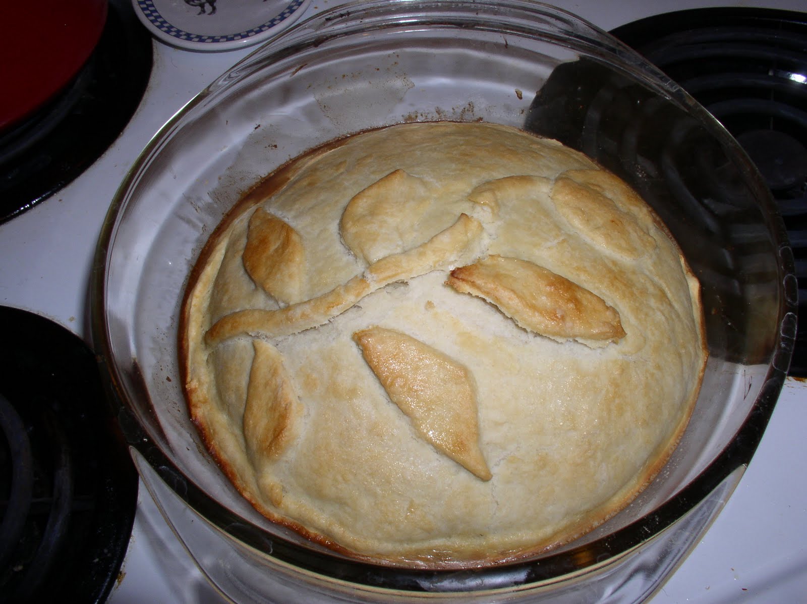 [My+Bruised+Apricot+Breakfast+Pie.JPG]