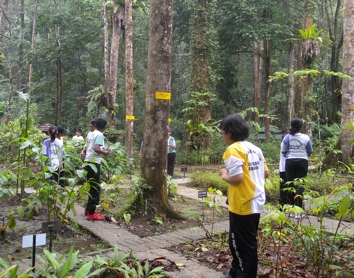 Sungai Tekala Recreation Forest - Natural lure of Hulu Langat | The