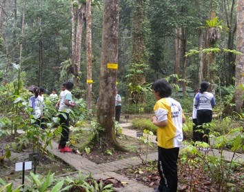 Sungai Tekala Recreation Forest - Natural lure of Hulu Langat | The