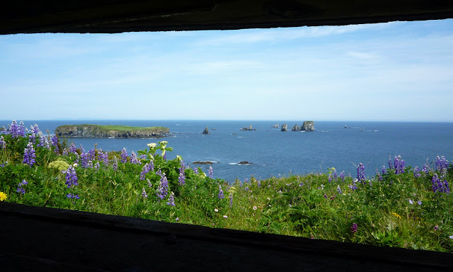 Northwest Explorer: Hiking Kodiak Island 2009