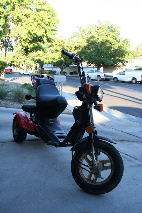 1985 HONDA GYRO TG50/ MAZUR PHOTOS: HONDA GYRO TG50/M