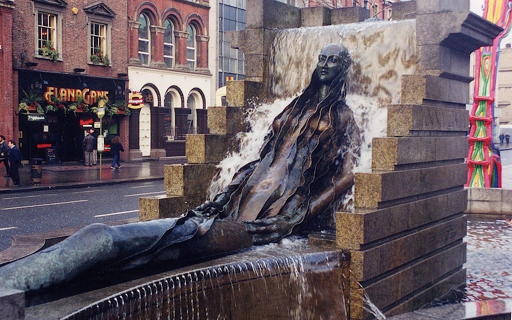 A Heron's View: DUBLIN