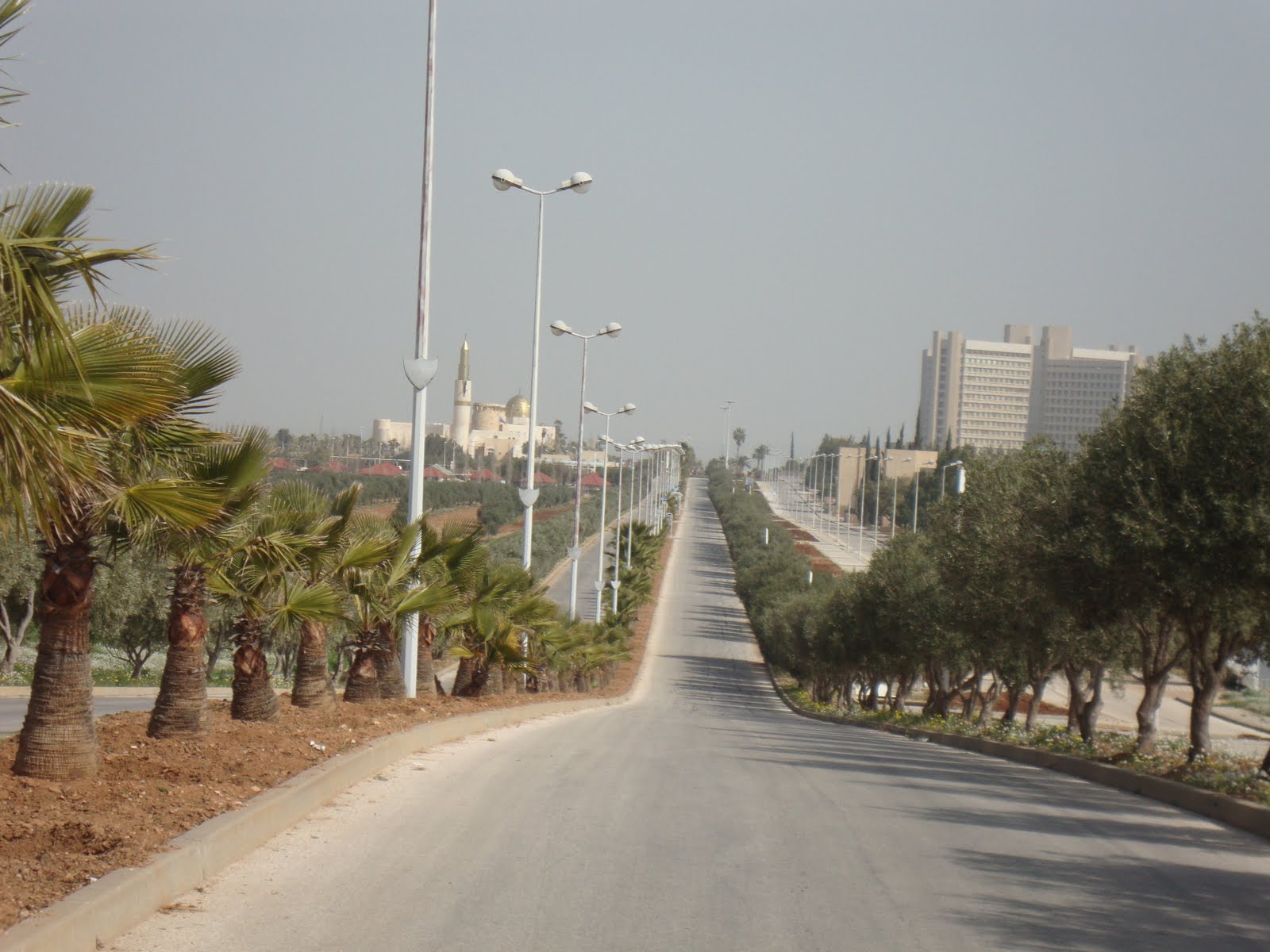 M. Darby Improving Oral Health In Jordan Jordan University of