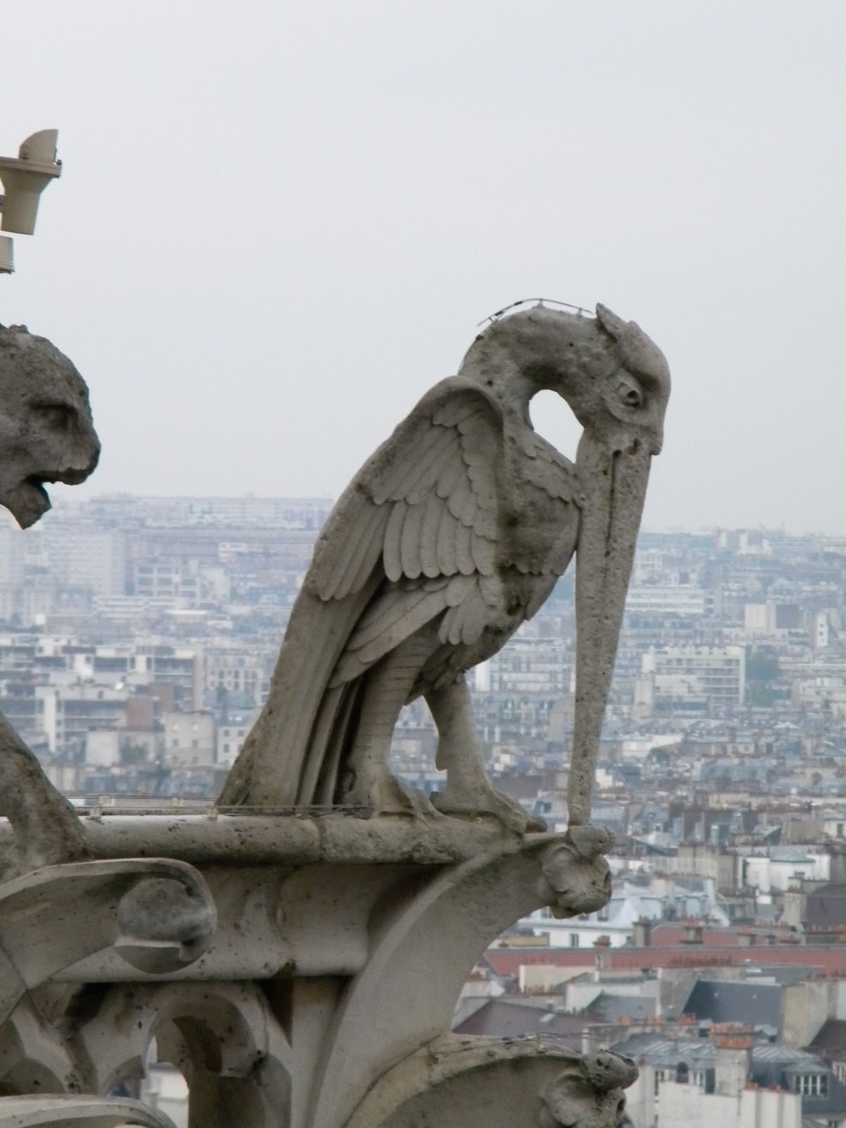 Returning to the Fatherland Notre Dame Gargoyles
