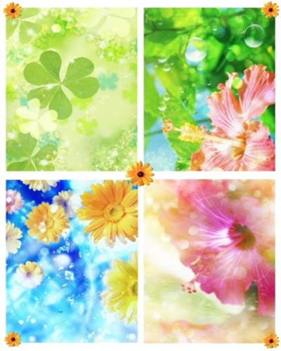 [Floral-Backgrounds-Laptops-Wallpapers-Download.jpg]