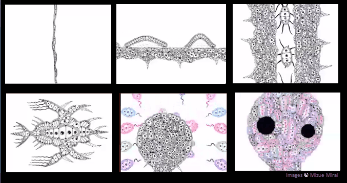 [Mizue_FantasticCell.gif]