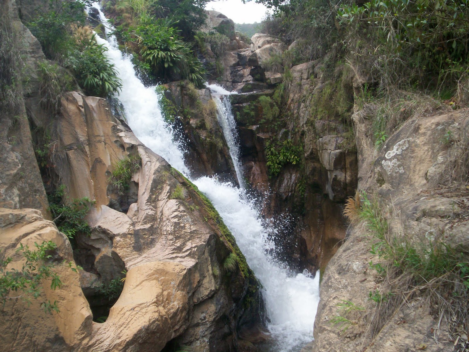 Blog del Instituto Agrícola de Pueblo Bello Pueblo Bello Ecología
