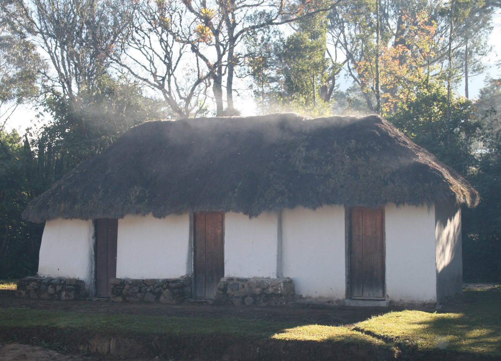 Blog del Instituto Agrícola de Pueblo Bello Pueblo Bello Ecología