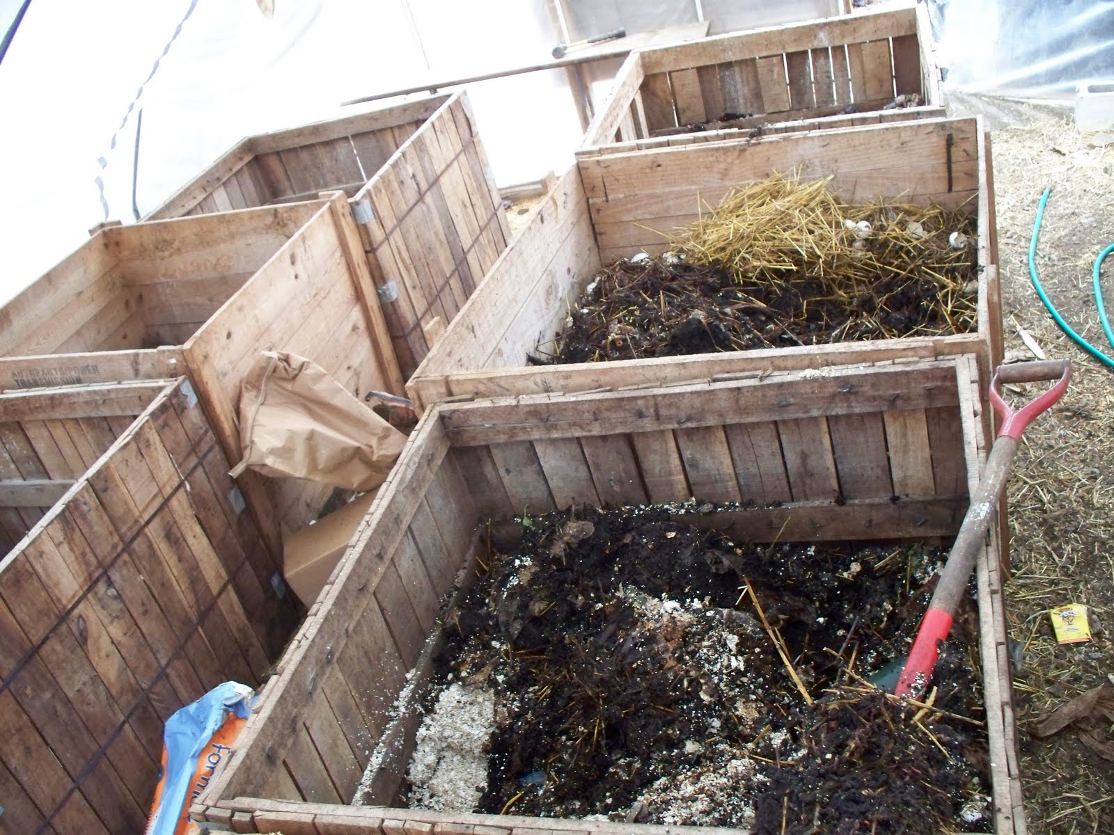 Homegrown Produce/Face Of The Earth Seed Early Winter