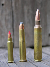 The .22 Hornet flanked by the .17 Hornady Magnum Rimfire and the .223 Remington.