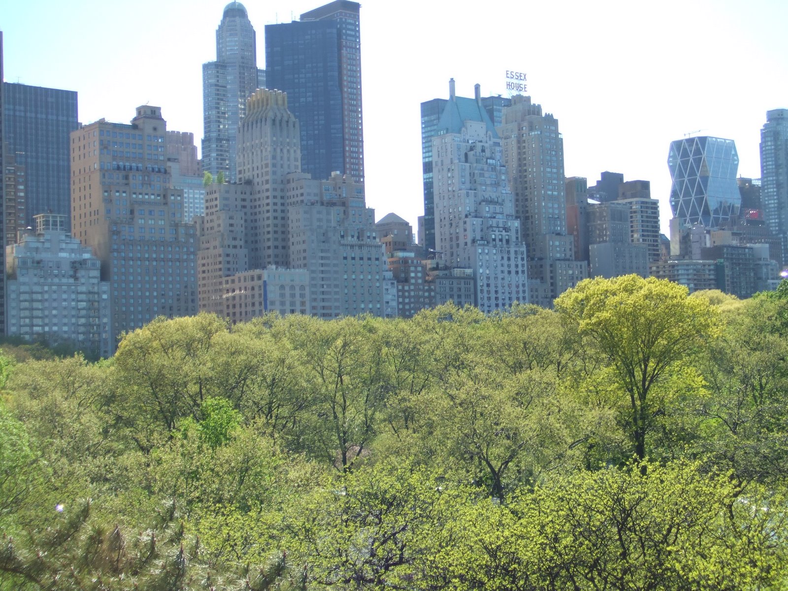 [Central+Park+treetop+view.JPG]