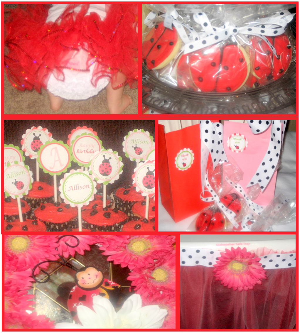 Ladybug Party Decorations Ideas 
