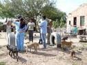 Dengue en Chaco: Tenemos que ayudarlos