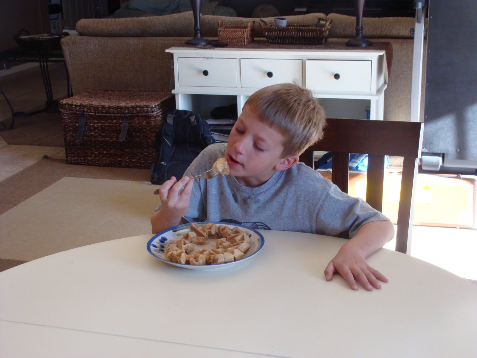 Strong Armor Wheat, Oats & Milled Flax Seed Waffles