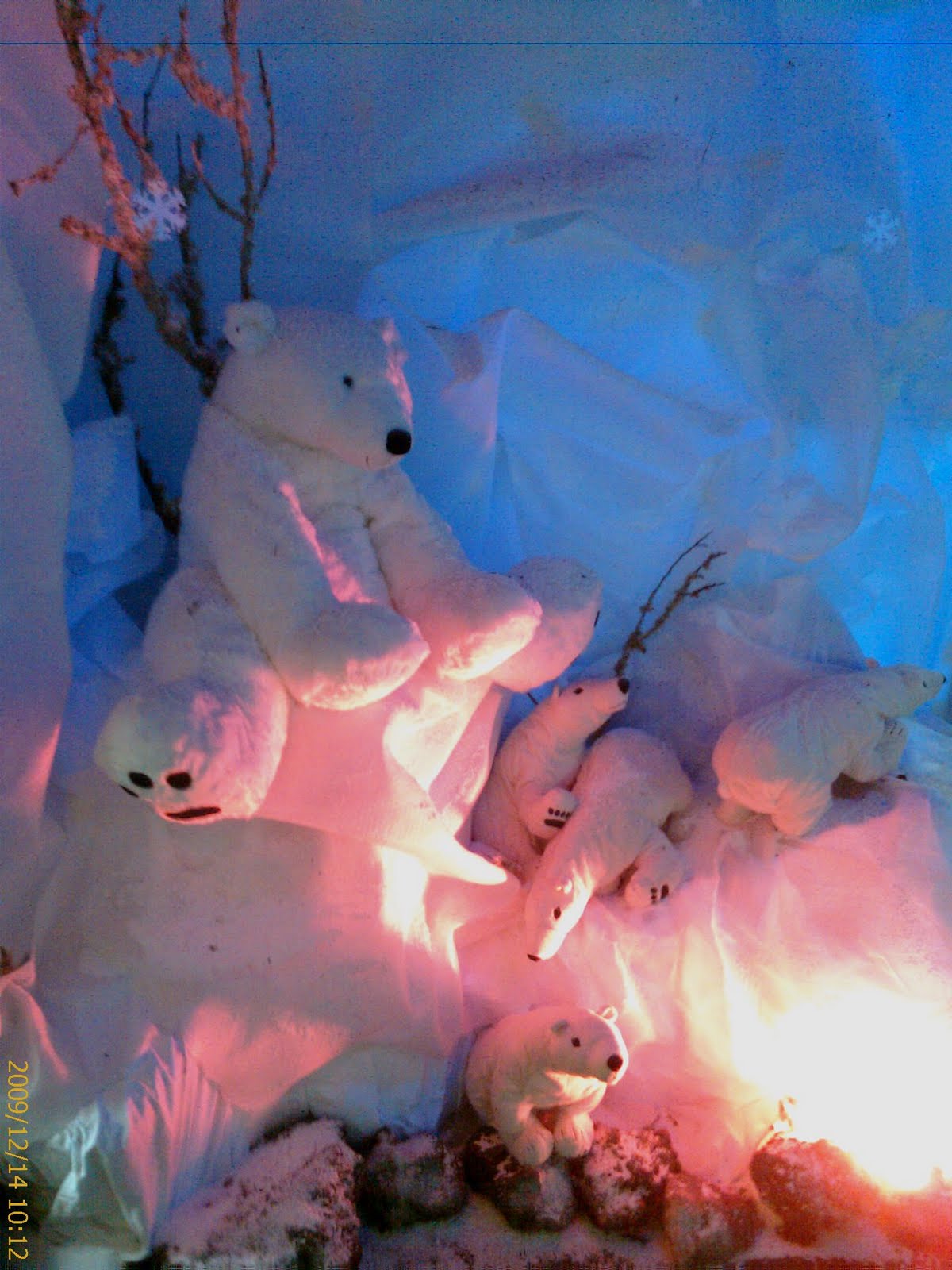 [2009+natal+(4).jpg]