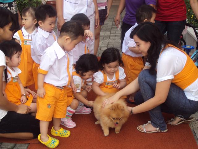 Info Pluit: Nurture Spring Kindergarten “I Love Pets”