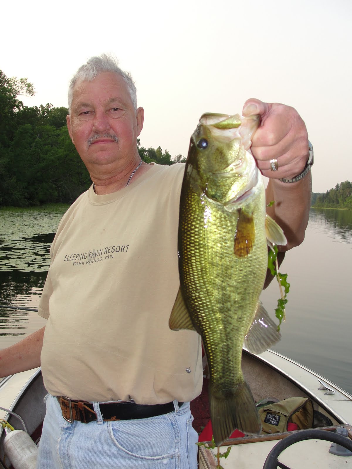 zz fawn Largemouth Bass are biting!