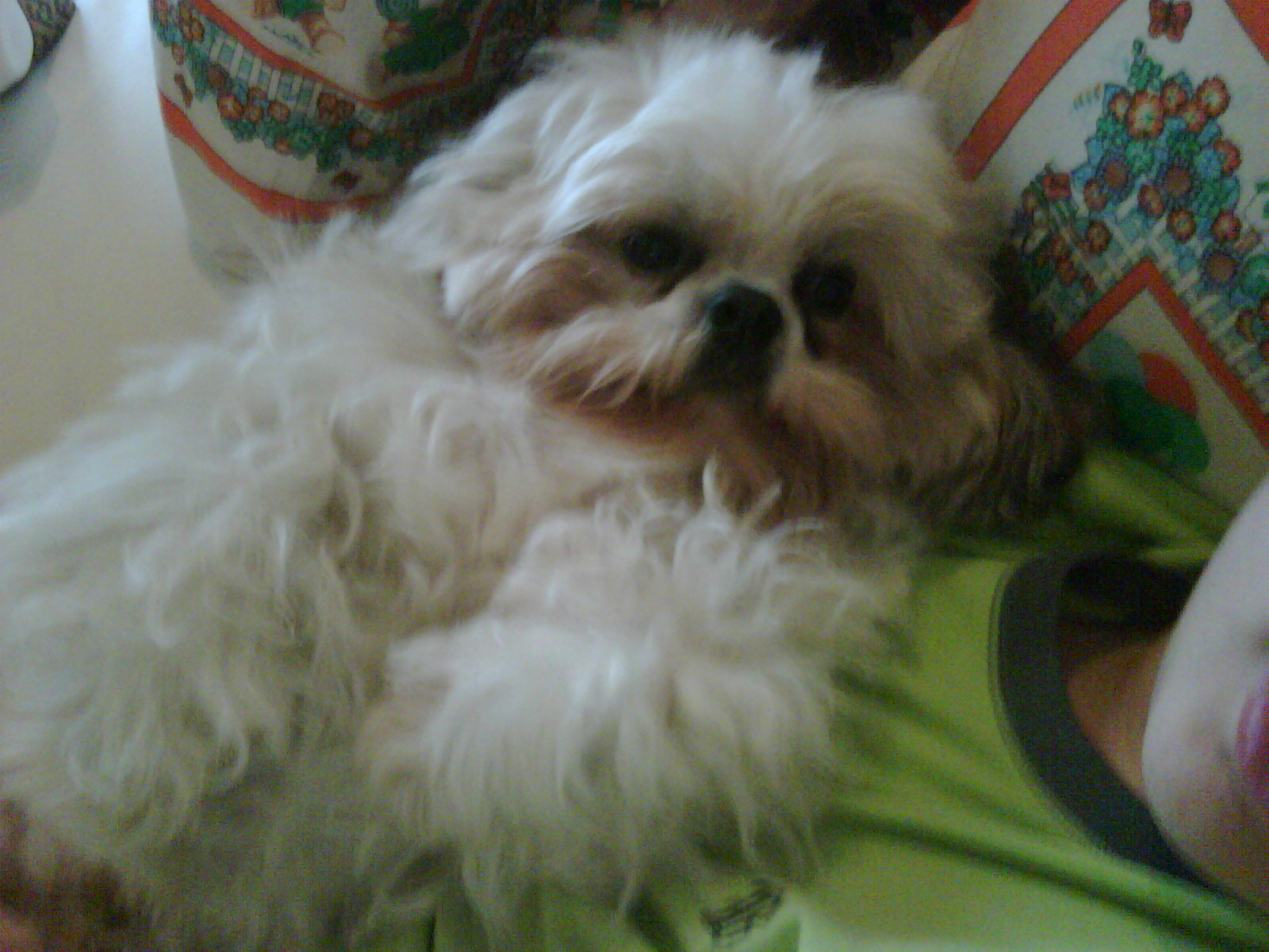 [=?utf-8?B?SU1HMDAzOTctMjAwOTAyMTgtMTE0Mi5qcGc=?=-776934]