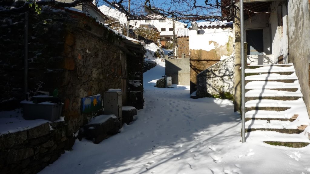 [neve+singral-1.JPG]