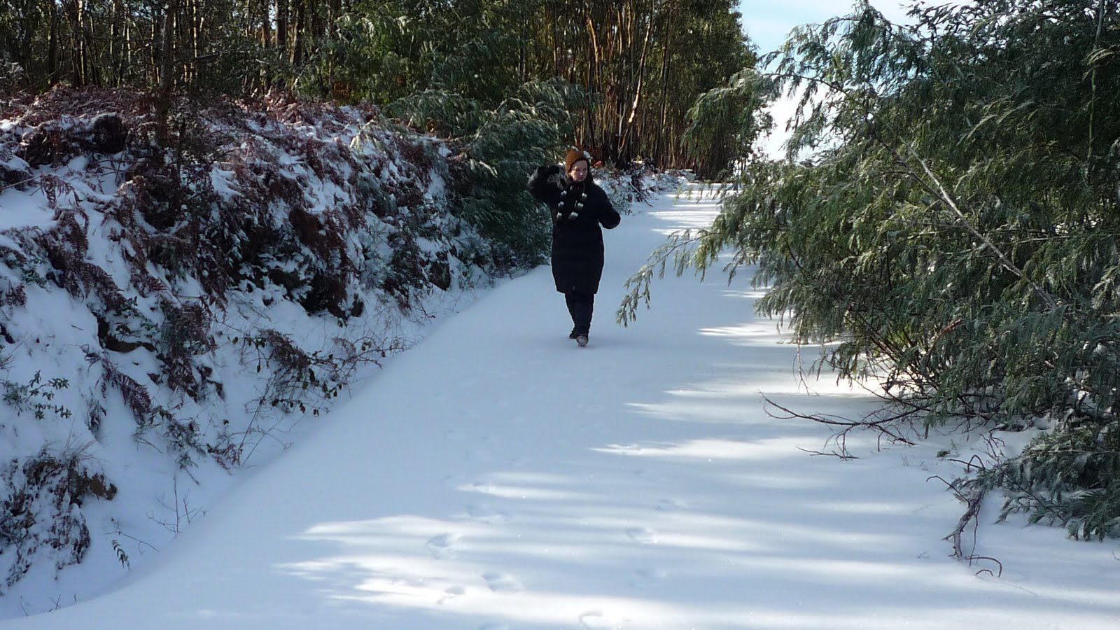 [neve+singral-5.JPG]