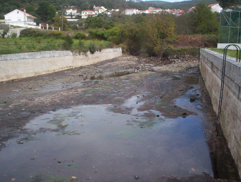 [alge+ribeira.jpg]