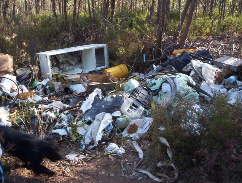 [entulho+singral.jpg]