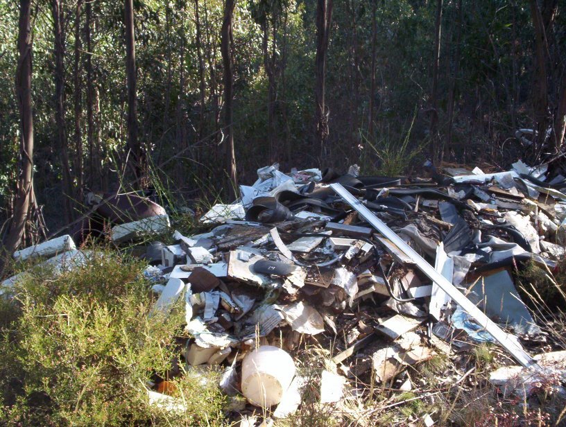 [entulho+singral4.jpg]