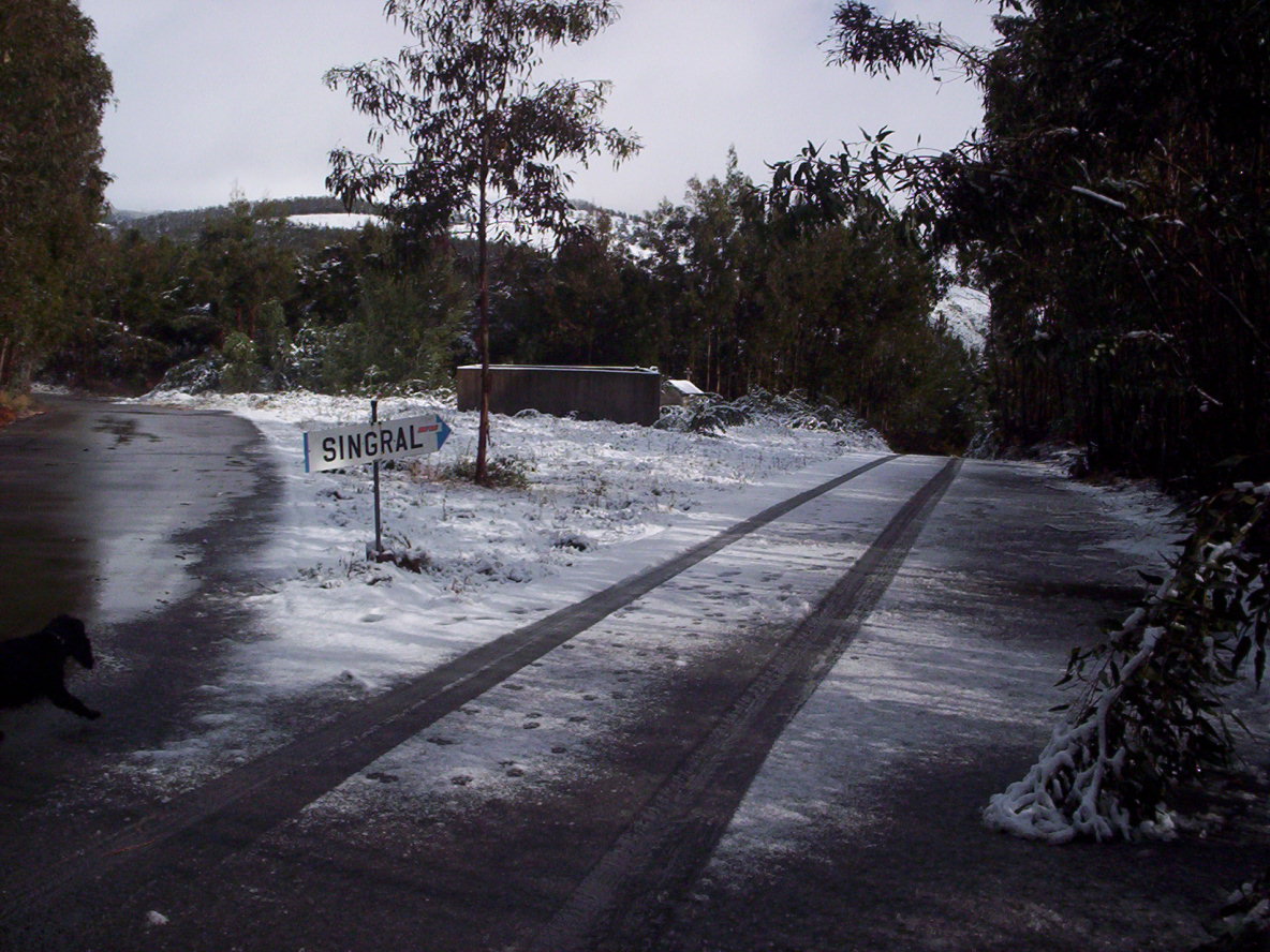 [Singral+1-12-2008-6.jpg]