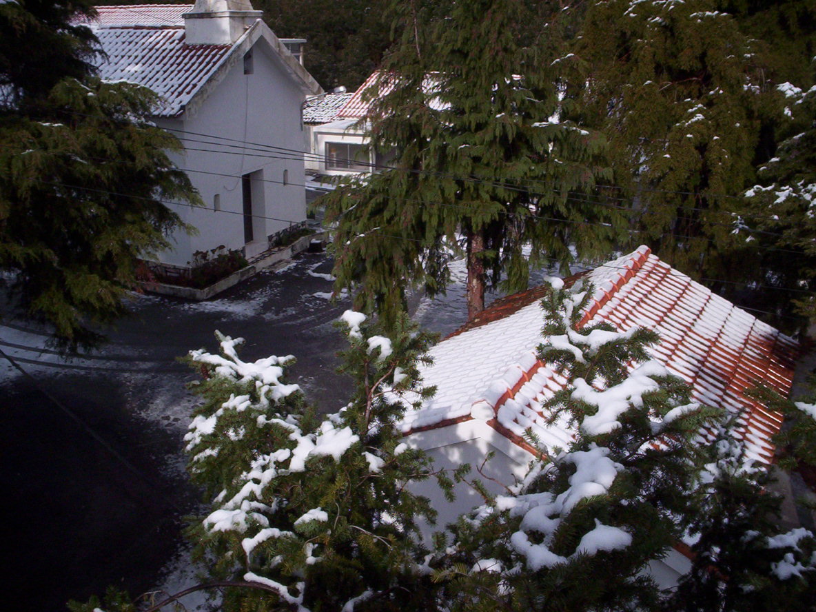 [Singral+1-12-2008-3.jpg]