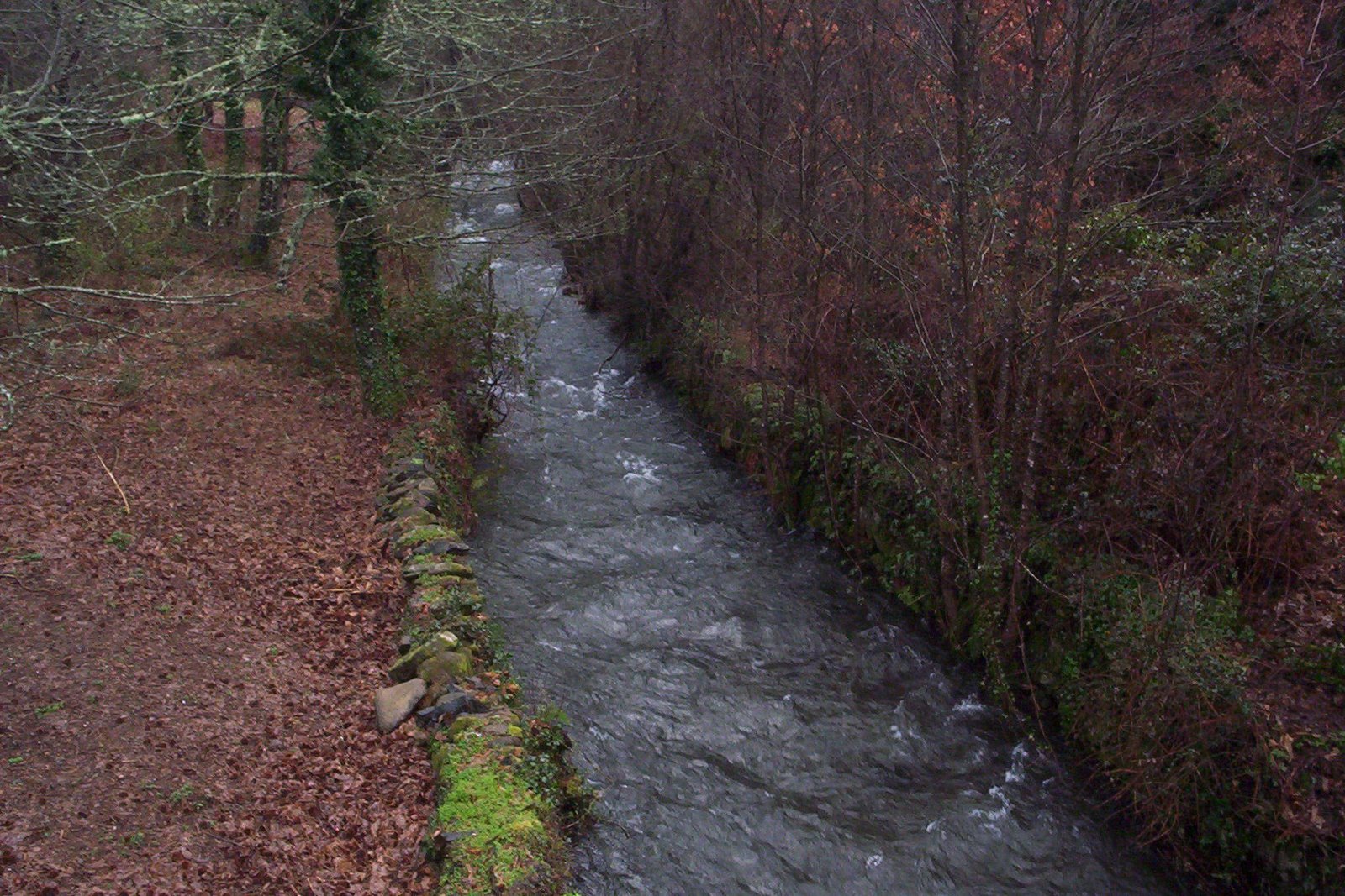 [FEVEREIRO+2009+019.jpg]