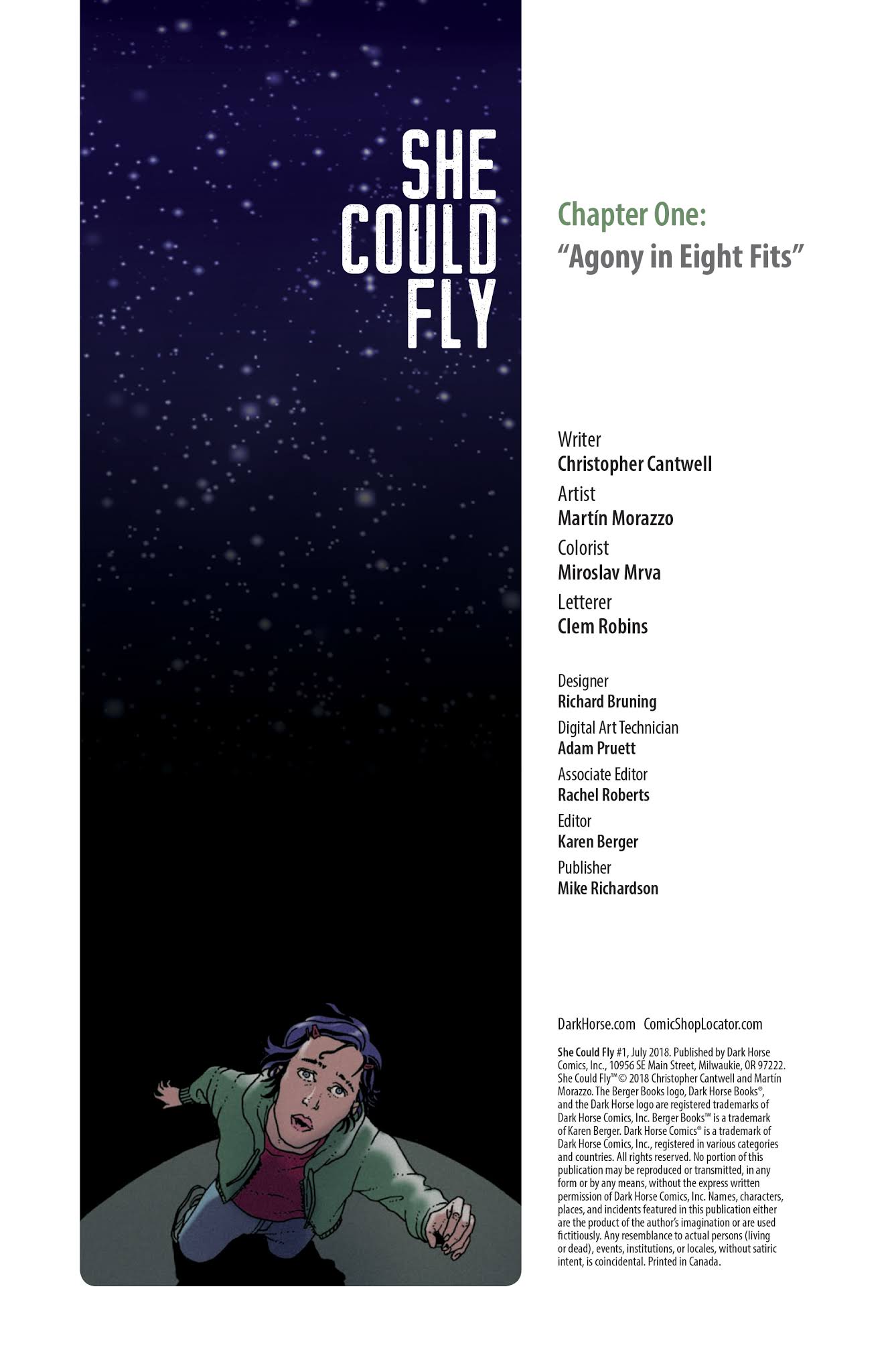 Read online She Could Fly comic -  Issue #1 - 2