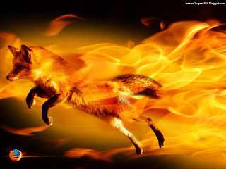 Fire Fox photo
