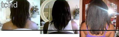 aboutpicture.jpg