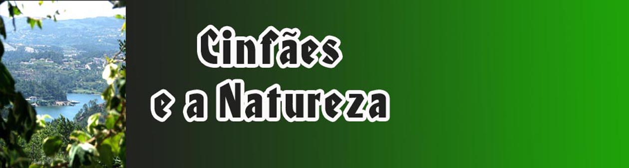 Cinfães e a Natureza