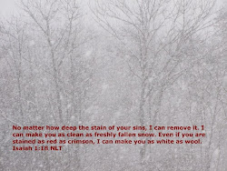No matter how deep the stain of your sins. I can remove it. I can make you as clean as fresh snow.