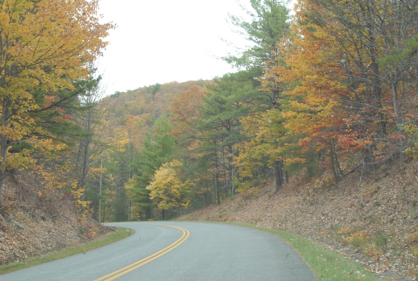 Trip 2010 Blue Ridge Parkway, Skyline Drive (Shenandoah National Park)