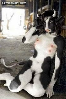 Body Paint Picture Cow