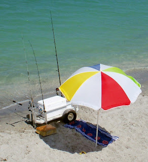 Southwest Florida Shoreline Studies Fishing Pier South Of
