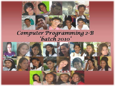SL Computer-Programming 'Batch 2008-2010'
