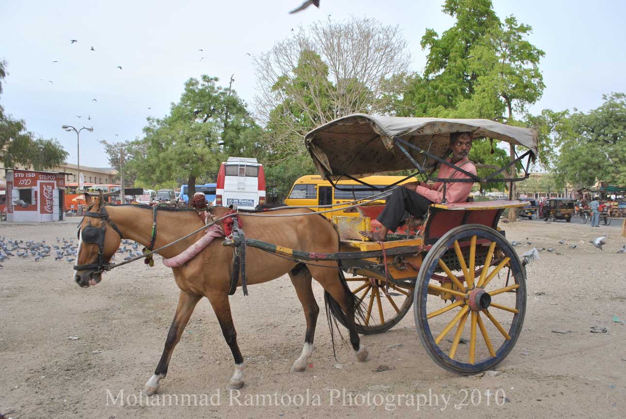 Our Journey VISIT TO TAJ MAHAL AGRA and CITY PALACE JAIPUR
