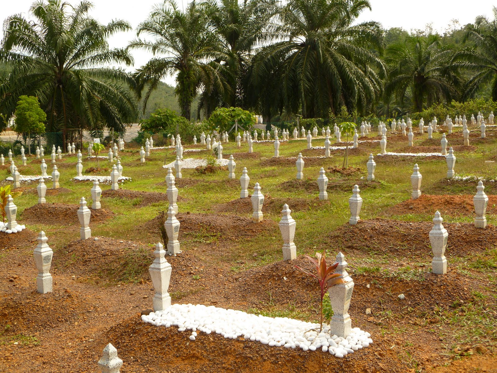 The Islamic Undertaker Systematic Islamic Burial Site