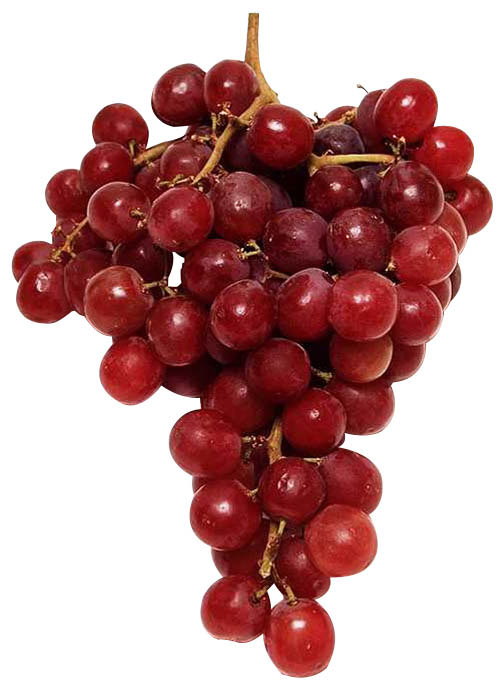 Fruit Maturity and Harvesting FRUIT MATURITY AND HARVESTING