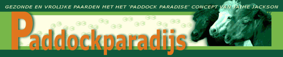 Paddockparadijs